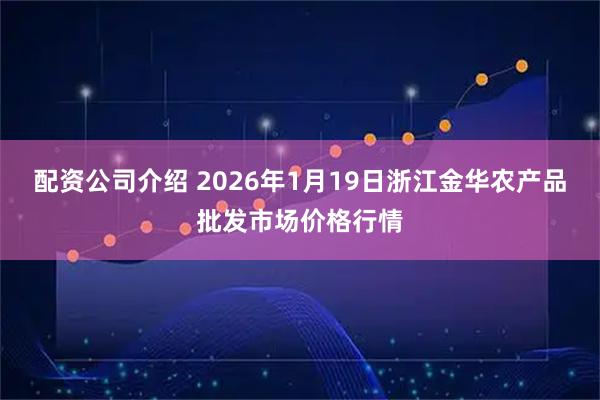 配资公司介绍 2026年1月19日浙江金华农产品批发市场价格行情
