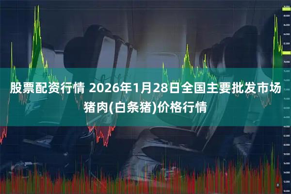 股票配资行情 2026年1月28日全国主要批发市场猪肉(白条猪)价格行情