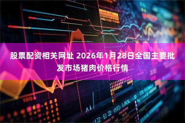 股票配资相关网址 2026年1月28日全国主要批发市场猪肉价格行情
